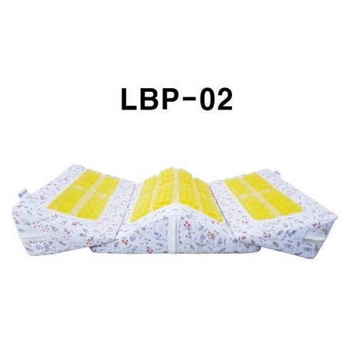 리버텍 LBP-02, 건강한 허리와 활기찬 일상을 위한 최고의 선택