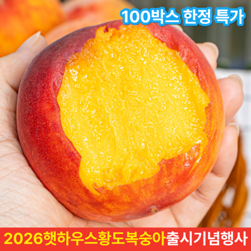 [산지직송] 2026 햇 황도 복숭아 첫 수확 하우스 털복숭아 고당도 말랑이, 1박스, 500g소과