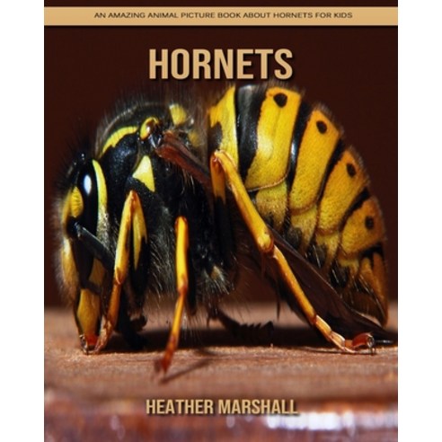 Hornets: An Amazing Animal Picture Book about Hornets for Kids Paperback, Independently Published