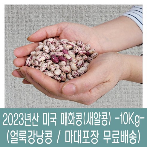 [다온농산] 2023년산 수입 미국산 매화콩/매화강낭콩/새알콩 -10Kg- 지퍼백, 1개