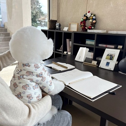 따뜻함과 스타일을 한 번에, Sgirl 강아지 패딩으로 겨울 산책을 즐기세요!