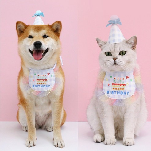 오자드 강아지 고양이 생일파티 용품 모자 스카프 턱받이 세트, 블루, 1개
