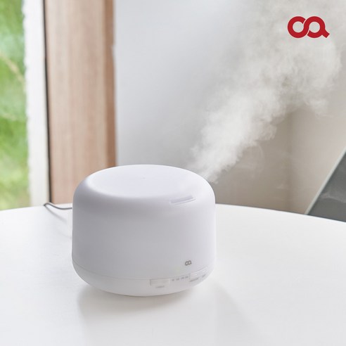 건조한 공기를 위한 편안함과 스타일의 오아시스