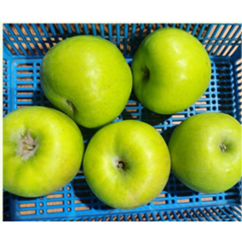 [산지직송 저탄소인증 농장] 고당도 선별 아오리 사과 Aori Apple 정과 못난이 주스용 (중소과), 흡집 실속 못난이 아오리 3kg(12~15입내)_A03, 1개