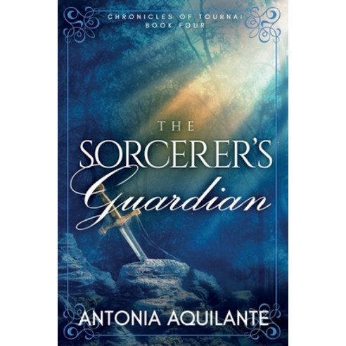 The Sorcerer''s Guardian Paperback, Ninestar Press, LLC