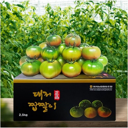 부산 대저 짭짤이 토마토 2.5kg (산지직송 GAP인증), 1박스, 짭짤이 2.5kg(S)