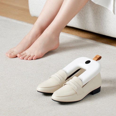 쾌적한 발걸음의 시작, 브리즈케어 P300Pro