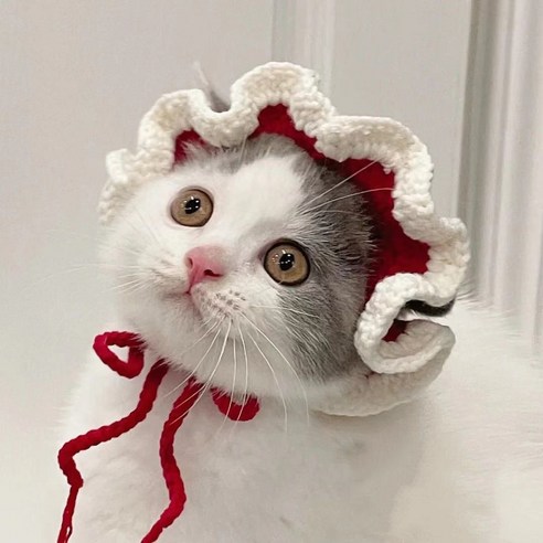 고양이모자 강아지모자 토끼 모자, 푸른 색