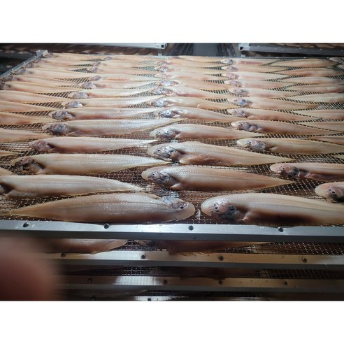 맛있고 영양가 풍부한 군산 박대, 48% 할인