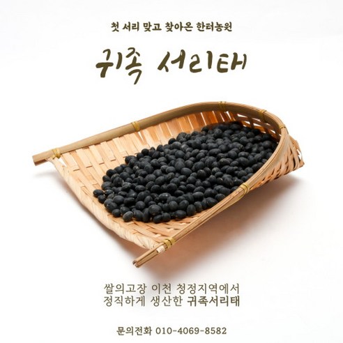 귀족서리태 미숫가루, 자연의 선물로 건강한 하루를 시작하세요.