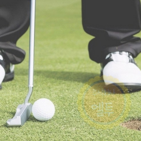 LT 퍼팅장용 인조잔디 16MM 폭200X100 인조잔디롤매트, 1개