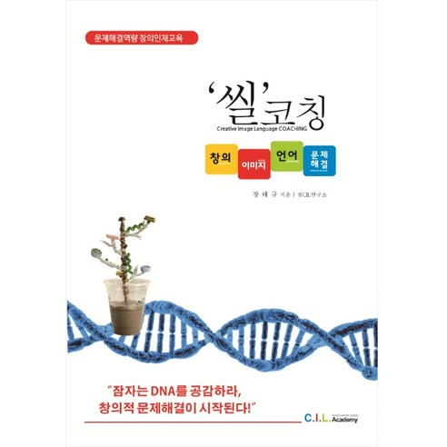 씰코칭: 창의 이미지 언어 문제해결:문제해결역량 창의인재교육, 아이펀