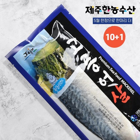 [제주한농수산] '제주공장직송' 제주 손질 고등어 대 10팩 + 5월 가정의달 한정 1팩 더..총 11팩 ( 1팩 160g 이상 ), 1박스