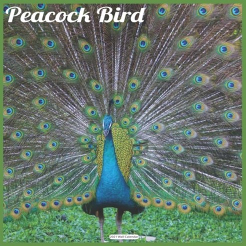 Peacock Bird 2021 Wall Calendar: Official Peacock Calendar 2021 Wall Calendar Paperback, Independently Published, English, 9798580165264