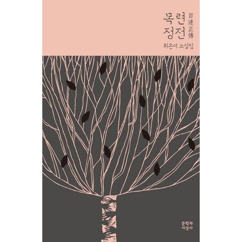 목련정전:최은미 소설집, 문학과지성사, 최은미 저