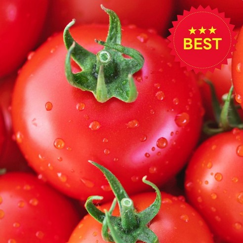 (산지 직송) 국산 완숙 토마토 tomato