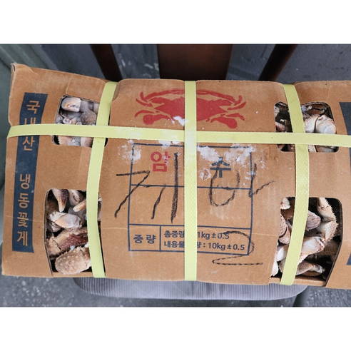 신선도와 품질이 뛰어난 국내산 선동 소라게발