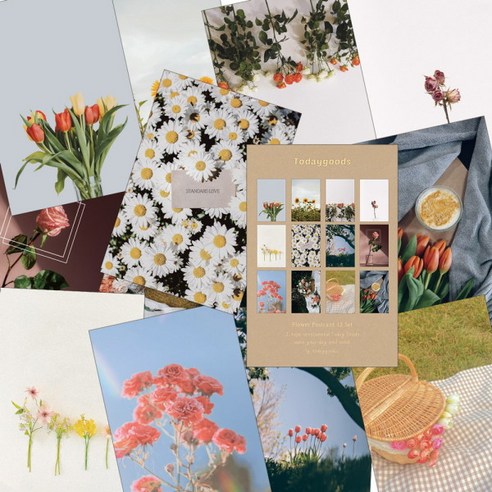 오늘의 꽃 엽서 12장 세트, 1개 
카드/엽서/봉투
