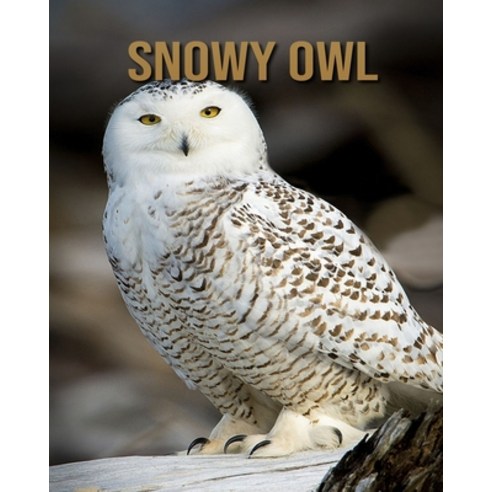 Snowy owl: An Educational Children''s Book about Snowy owl with Fun Facts & Photos Paperback, Independently Published