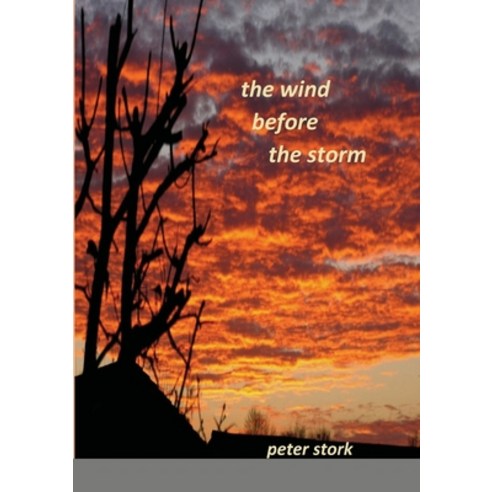 The wind before the storm Paperback, Lulu.com