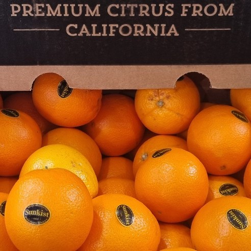 햇살을 머금은 듯 황홀한 달콤함, 고당도 블랙라벨 오렌지