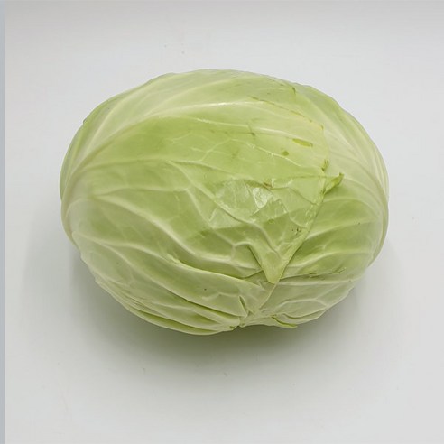 국산 양배추 1통 (1.5kg 이상) – 1개 양배추쿨링 국산 양배추 1통 (1.5kg 이상) – 1개 양배추쿨링