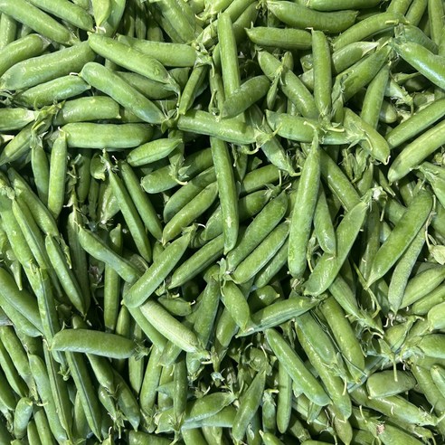 늘푸른농산 산지직송 노지재배 껍질 햇 완두콩, 2kg, 1박스
