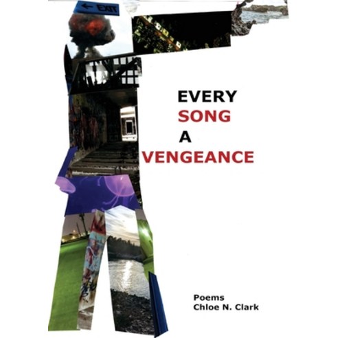 (영문도서) Every Song a Vengeance Paperback, Vegetarian Alcoholic Press, English, 9781952055478