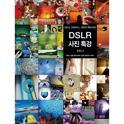 DSLR 사진특강 111강:DSLR 미러리스 사진의 백과사전, 성안당