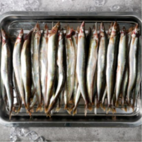 제철생선 속초 햇 양미리 생물 알배기 반건조 말린 건조 구이용 생선, 1개, 5kg
