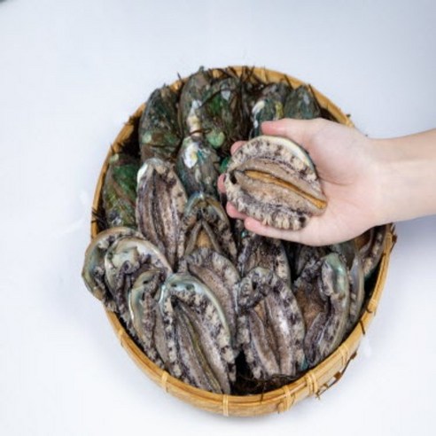 완도 청담수산의 신선한 활전복, 다양한 크기와 합리적인 가격