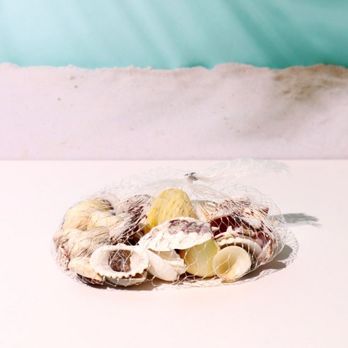 빌랑 천연 조개껍질로 당신의 창의성을 펼치세요