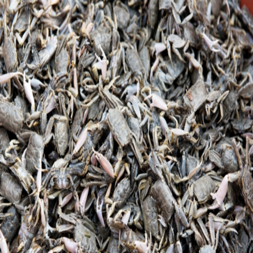 순천만 자연산 칠게, 1박스, 1kg(급냉) 태안게국지 순천만 자연산 칠게, 1박스, 1kg(급냉) 태안게국지