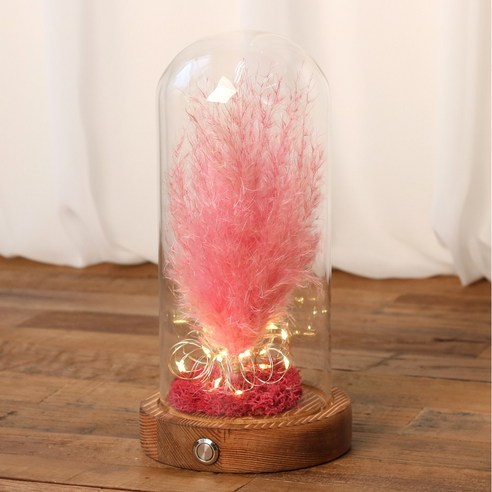 프리저브드 팜파스 LED 무드등, 다크우드 핑크