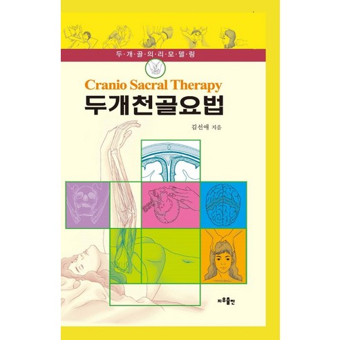 두개천골요법: 두개골의 리모델링, 양장본 HardCover, 로켓배송, 5/5 평점, ISBN: 9788991622500