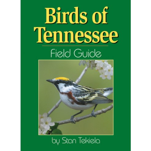 (영문도서) Birds of Tennessee Field Guide Paperback, Adventure Publications, English, 9781591930327