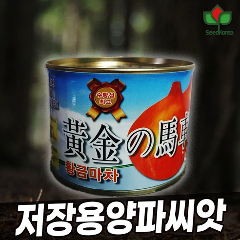양파 씨앗 종자 장기 저장용 양파 병에강한 다수확 품종 황금마차 100g, 1개