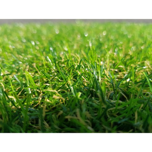 꿈꿔왔던 푸른 정원, 이젠 현실로