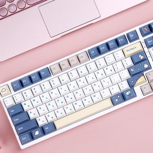 몬스타기어 달토끼 PBT 체리 프로파일 키캡