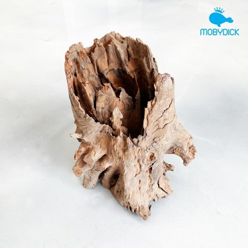 그루터기 유목(소) 15~20cm, 단품
