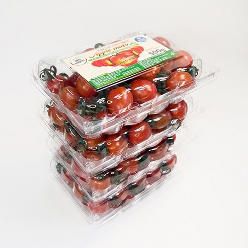 "탕후루 시럽 코팅" 착각! 역대급 달콤함에 정신 놓고 흡입한 토마토 후기 애플토마토