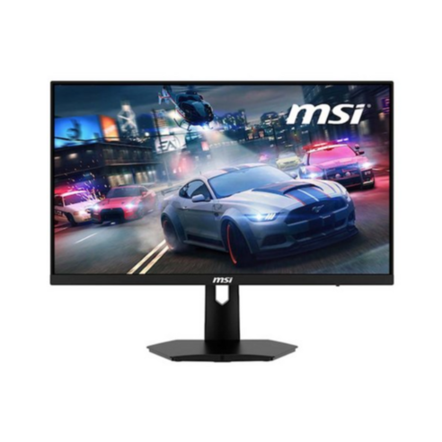 275e1s  MSI 61cm FHD IPS 170Hz 무결점 게이밍 모니터, G244F