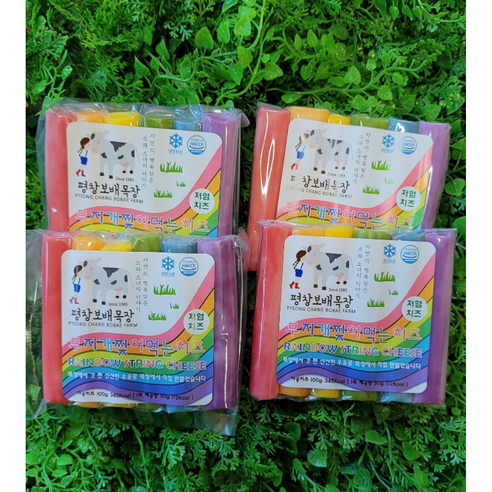 쫀득한 즐거움! 평창보배목장 무지개 치즈로 특별한 하루를