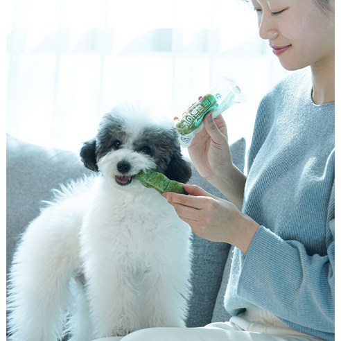 맛과 건강을 한 번에! 펫쉴드 치아튼튼 버블츄로 댕댕이 잇몸 건강 지키세요!