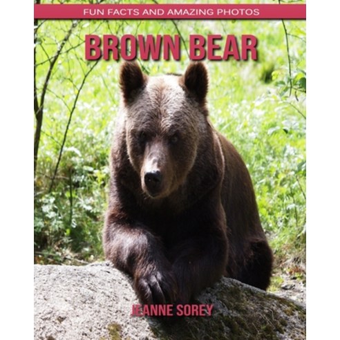 Brown Bear: Fun Facts and Amazing Photos Paperback, Independently Published