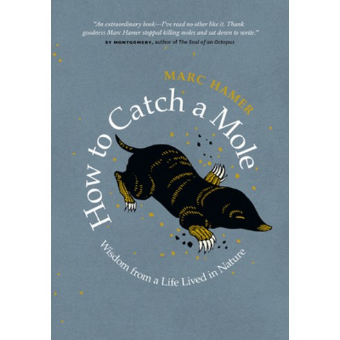 (영문도서) How to Catch a Mole: Wisdom from a Life Lived in Nature Hardcover, Greystone Books, English, 9781771644792