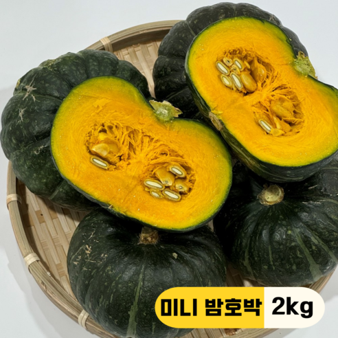 만근농장 국내산 제주 보우짱 미니 단호박 밤호박, 6개, 2kg