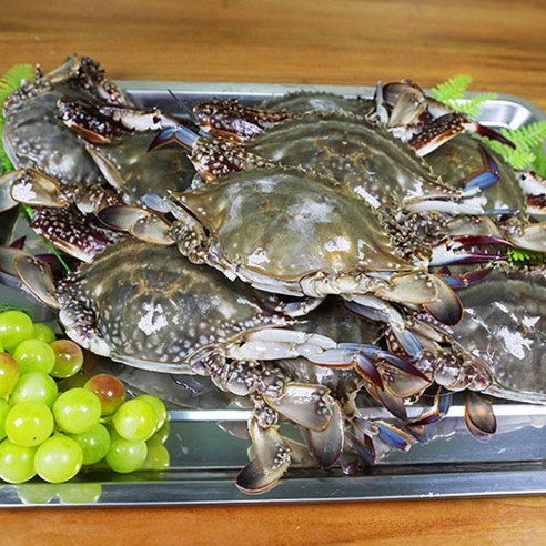 [라이프마켓] 가장 싱싱하고 맛있는 서해안에서 잡은 국내산 최상급 급냉 꽃게, 3kg, 암꽃게, 중, 1개