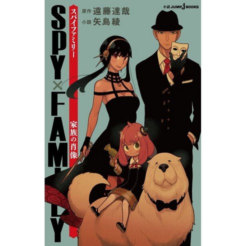 DIY 보석십자수 스파이 패밀리 캐릭터 애니 굿즈 보석 십자수 큐빅 취미생활 DIY세트, 35*45, 03
