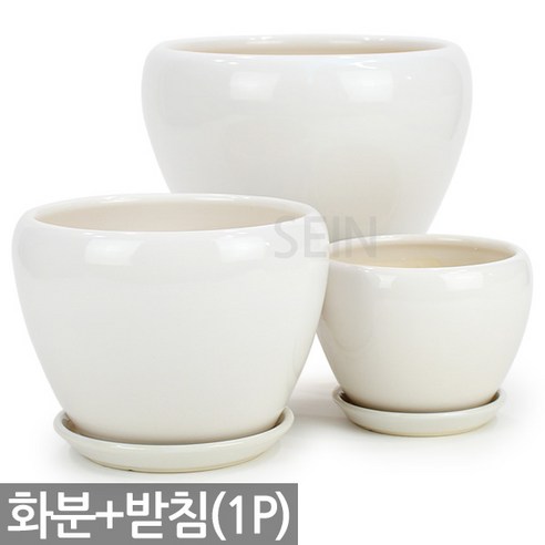세인화분 애플 화분 받침 세트 1P - 화분 화분세트 도자기 중형 대형 식물 분갈이 컬러 인테리어 세라믹 광택 매장 거실 베란다 화초 칼라 둥근 원형 토분, 화이트 애플화분_소형, 1개